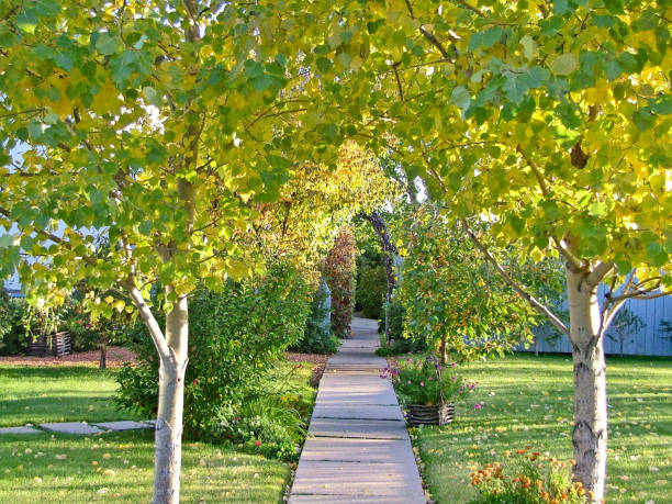 istock Spring walkway house entrance with new plant growth 944362548