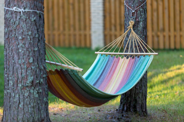 leere hängematte im garten zwischen den bäumen--- - campingplatz stock-fotos und bilder