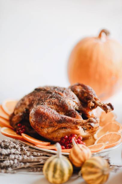 istock autumn decor with turkey for Thanksgiving 944376234