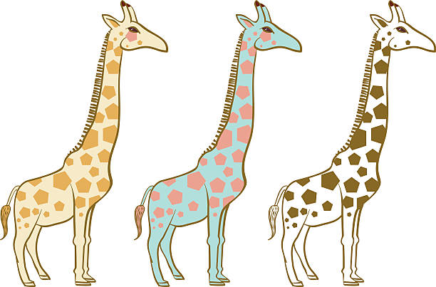 giraffe vector art illustration