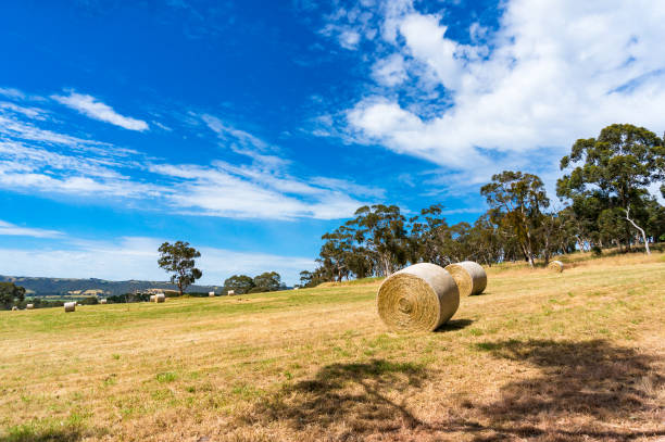 istock Picturesque rural landscape 944393676