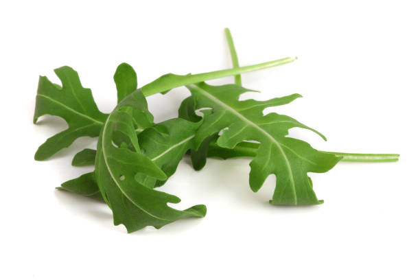 istock Green fresh rucola or arugula leaf isolated on white background 944394258