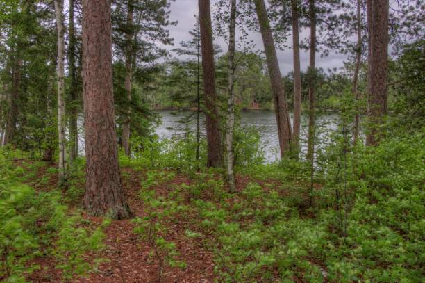 istock Scenic State Park, Northern Minnesota 944402306