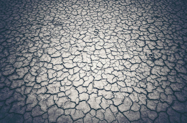 Cracked and dry soil background,Close up shot of drought, dried soil photographed from top view.