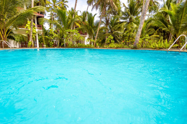 istock Beautiful swimming pool among palm trees 944418342