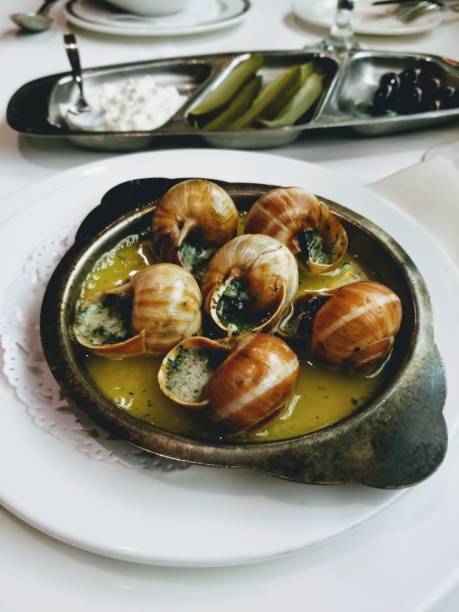 a dish of escargot cooked land snails - escargot snail seafood freshness imagens e fotografias de stock
