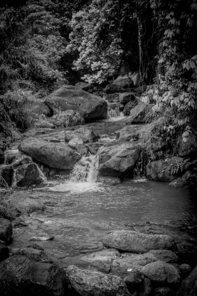 istock Natural Philippines in the mountains and valleys 944429084