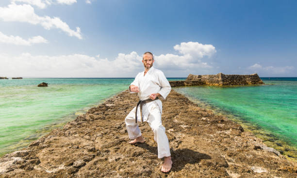 istock Traditional Okinawa Karate 944439622