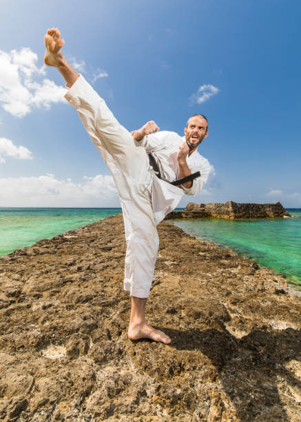 istock Traditional Okinawa Karate 944439624