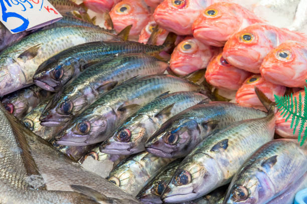 istock Fresh fish for sale at a market 944444678