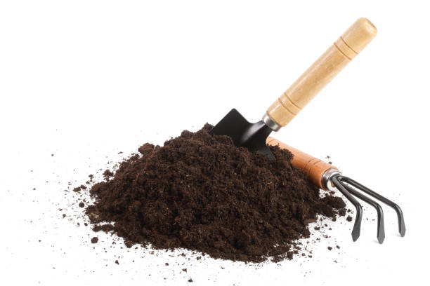 istock garden tools in soil isolated on white background 944444852
