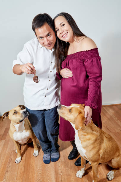 istock Married Couple with Two Dogs 944453860