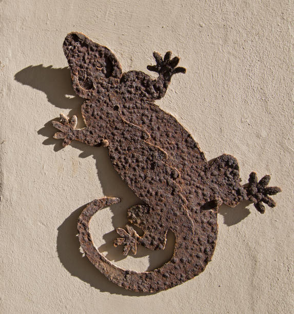 istock Rusty Iguana metal outdoor / indoor wall decor 944465250