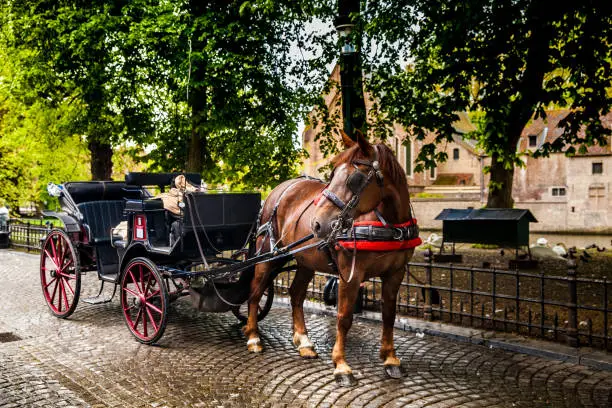 Horse carriage in Bruges city, Belgium