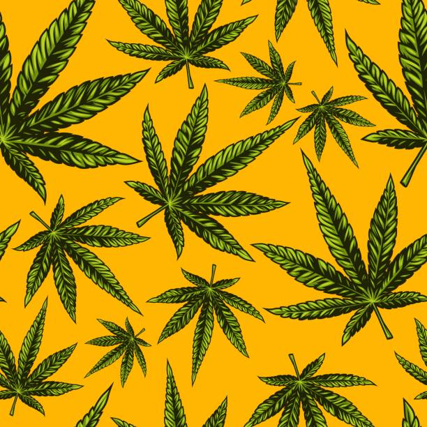 illustrations, cliparts, dessins animés et icônes de modèle de cannabis sans soudure - weed
