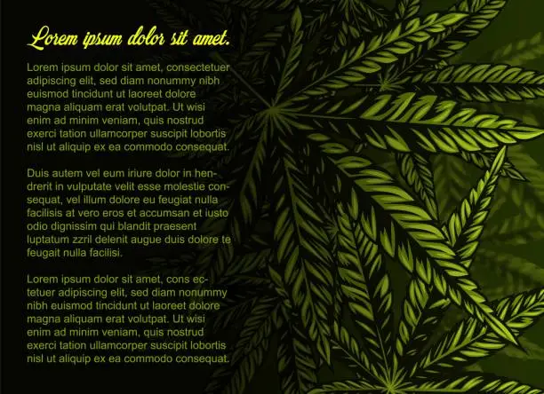 Vector illustration of Background with cannabis leaves