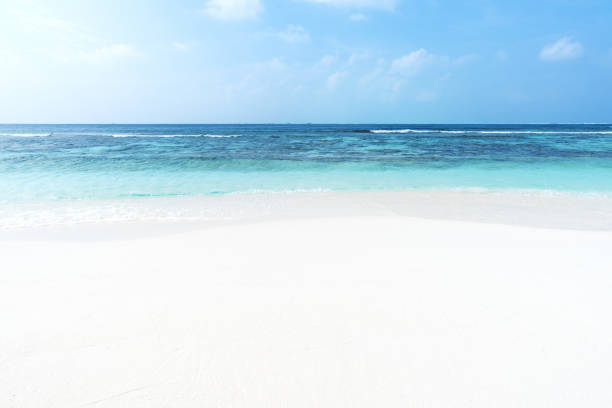 istock White Sandy Beach And Sea Wave Copy Space Scene 944481968