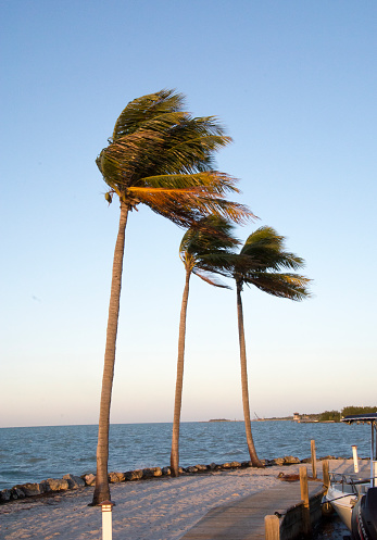 It was a very windy Marathon in the FL Keys as we waited for the sunset.  We like the palms were getting blown in the wind.