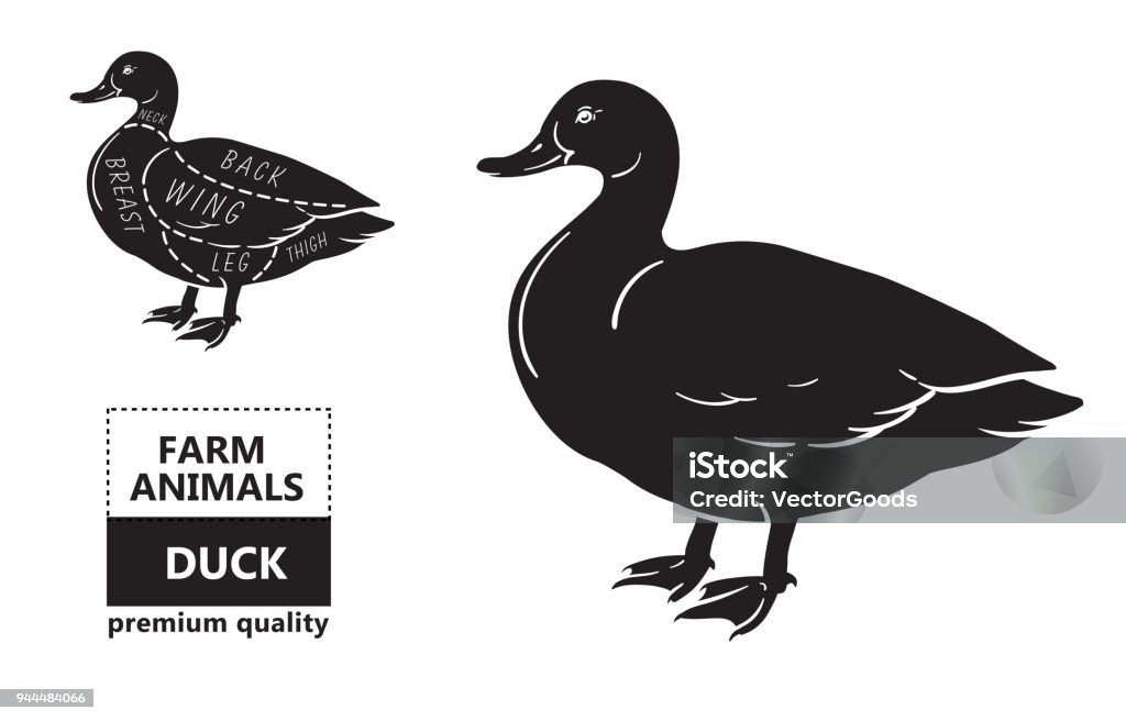 Typographic duck butcher cuts diagram scheme. Typographic duck butcher cuts diagram scheme. Premium guide meat label Duck - Bird stock vector