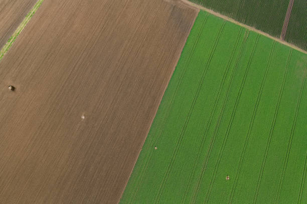 istock Agricultural fields in the Lockyer Valley, Queensland 944486460