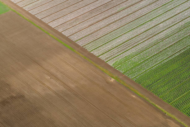 istock Agricultural fields in the Lockyer Valley, Queensland 944486524