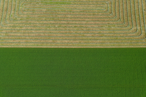 Aerial view of agricultural fields in the Lockyer Valley, Queensland, Australia