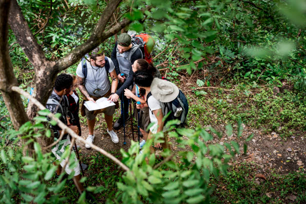 trekking insieme in una foresta - hiking adventure outdoor pursuit backpacker foto e immagini stock