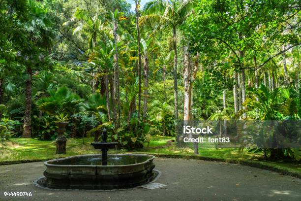 A Quiet Corner In Parque Terra Nostra Surrounded By Tropical Vegetation Sao Miguel Azores Portugal Stock Photo - Download Image Now