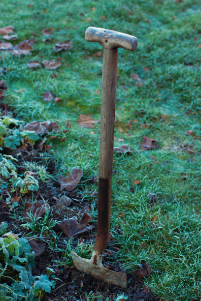 istock Old garden spade in a flowerbed in winter 944493890
