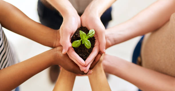 istock Greatness blooms with a little care 944493978