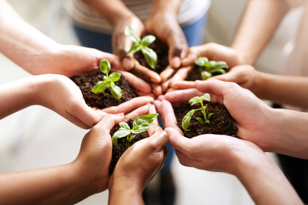 istock Our dreams need to be nurtured with care 944494056