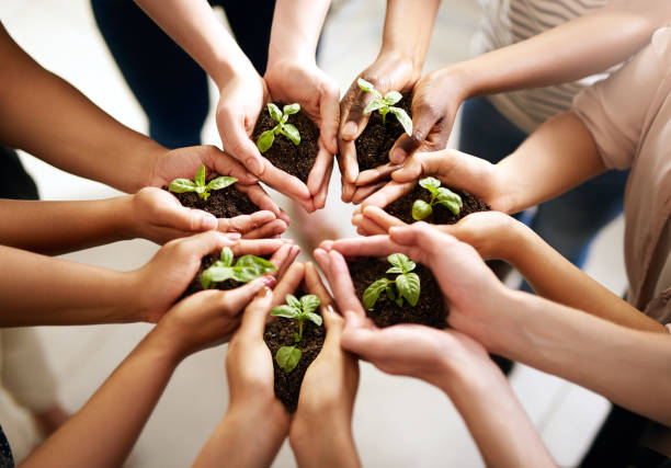 istock Good things come with time and care 944494084
