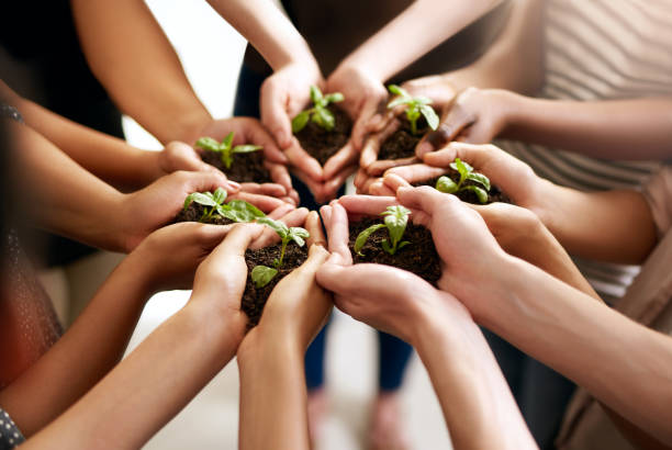 istock Our potential to grow is more than we know 944494088
