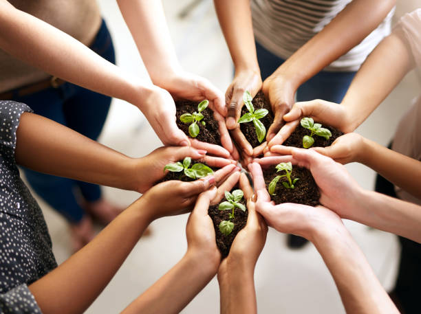 istock Plant your dreams and watch them bloom 944494090