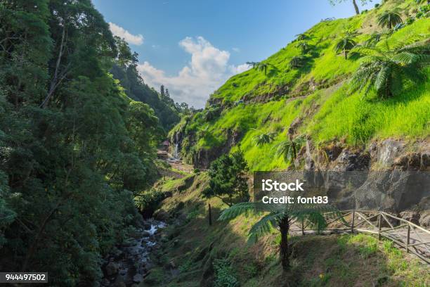 A Scenic Pathway Inside Ribeira Dos Caldeiroes Park Sao Miguel Azores Portugal Stock Photo - Download Image Now