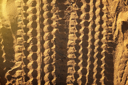 Sun shines on the dry tracks left by a vehicle in desert sand.
