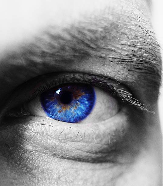 istock The depth of the blue eye's gaze 944498308