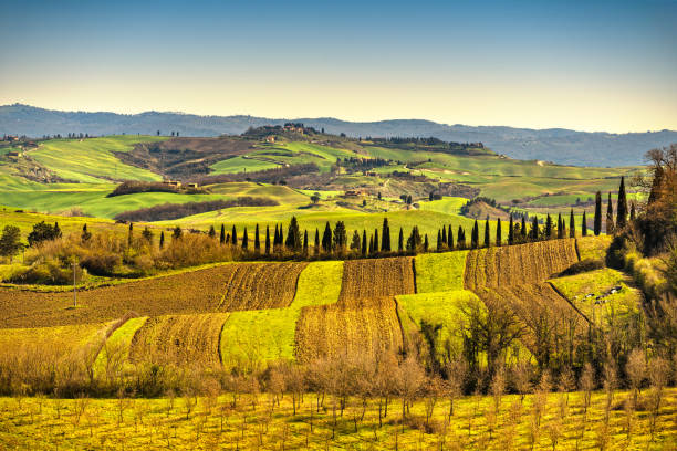 istock Tuscany panorama, rolling hills, trees and green fields. Italy 944501866