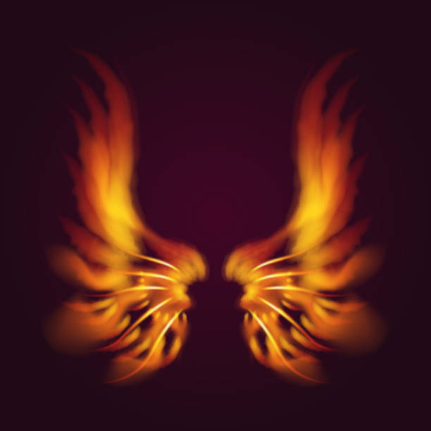 istock Bird fire wings vector fantasy feather burning fly mystic glow fiery burn hot art wings illustration on black 944503352