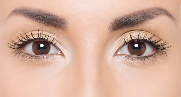Close up photo of woman eyes Close up photo of woman eyes lash and brow comb stock pictures, royalty-free photos & images