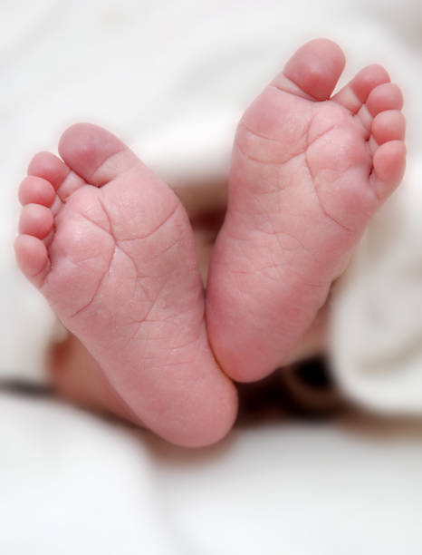 Baby feet in close-up from below