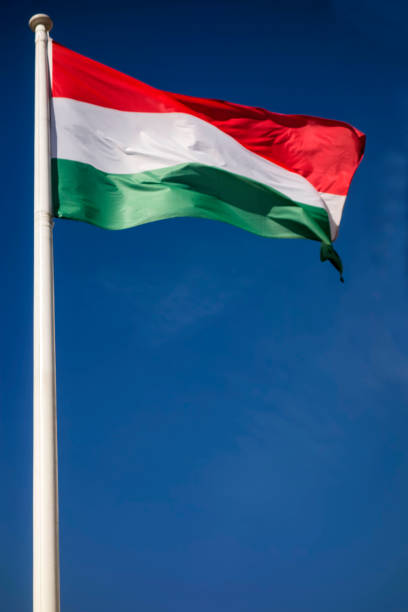 istock Flag of Hungary 944519572