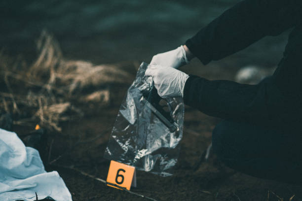 A gun as evidence number six Police crime scene evidence evidence bag stock pictures, royalty-free photos & images