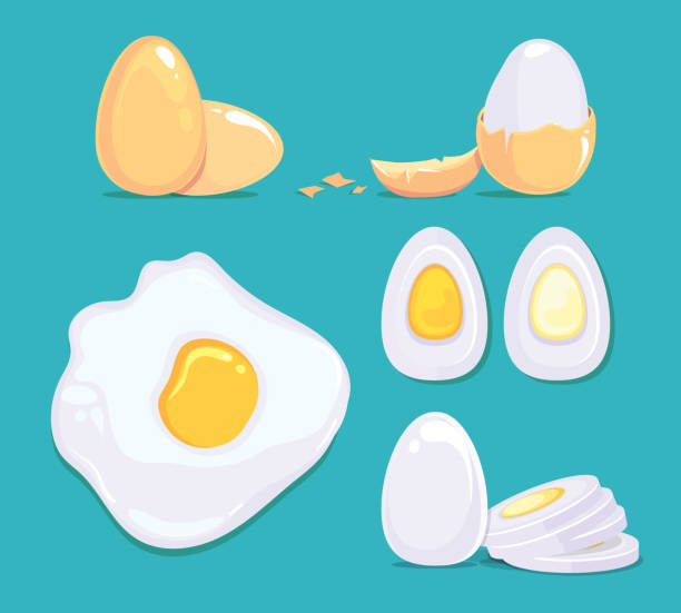 Ilustración de Huevos Crudos Y Cocidos En Diferentes Condiciones Imágenes De Dibujos Animados De Vector y más Vectores Libres de Derechos de Huevo - Comida básica - iStock Ilustración de Huevos Crudos Y Cocidos En Diferentes Condiciones Imágenes De Dibujos Animados De Vector y más Vectores Libres de Derechos de Huevo - Comida básica - iStock