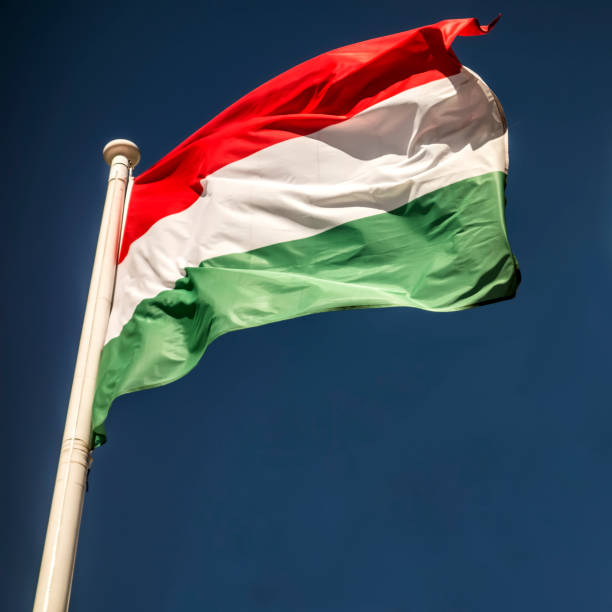 istock Flag of Hungary 944522878