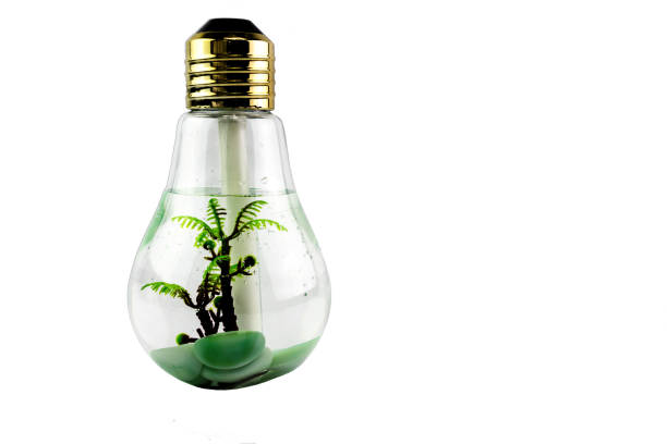 istock Humidifier in bulb shape with decorate tree and stone inside 944539222
