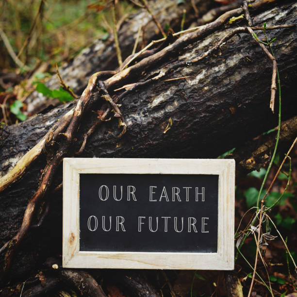 istock chalkboard with the text our earth our future 944545908