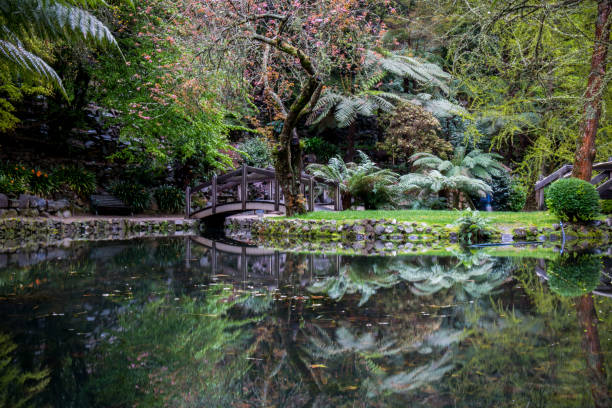 istock A mature and blooming garden reflecting off a still pond 944546364