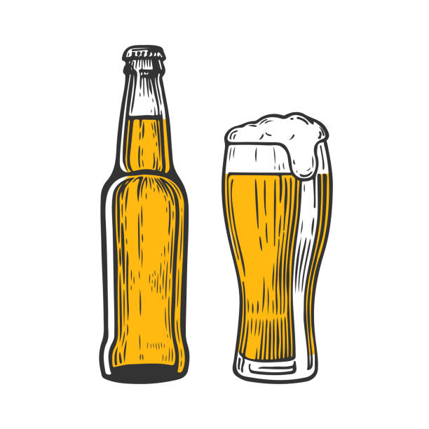beerbtgc Bottle and glass of beer isolated on white background, hand-drawing. Vector vintage engraved illustration. beer bottle illustrations stock illustrations