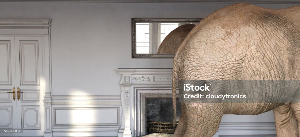 Elephant in the room An Elephant in the room of an 18th Century French Chateau Elephant Stock Photo